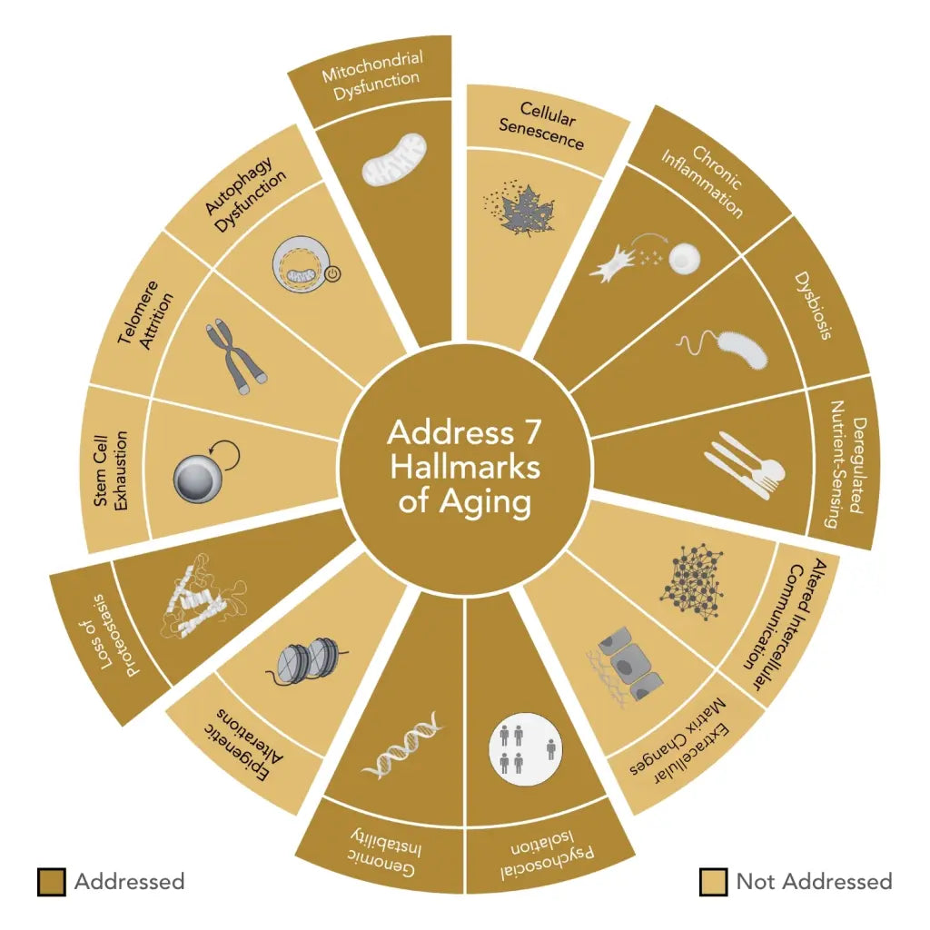 GENR8® BIOTIC Nutritional Supplements WEIGHT MANAGEMENT